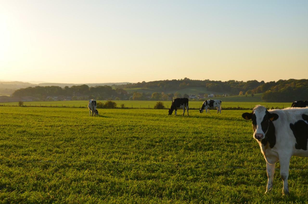 Gite Brin De Campagne Vaucremont Exterior foto